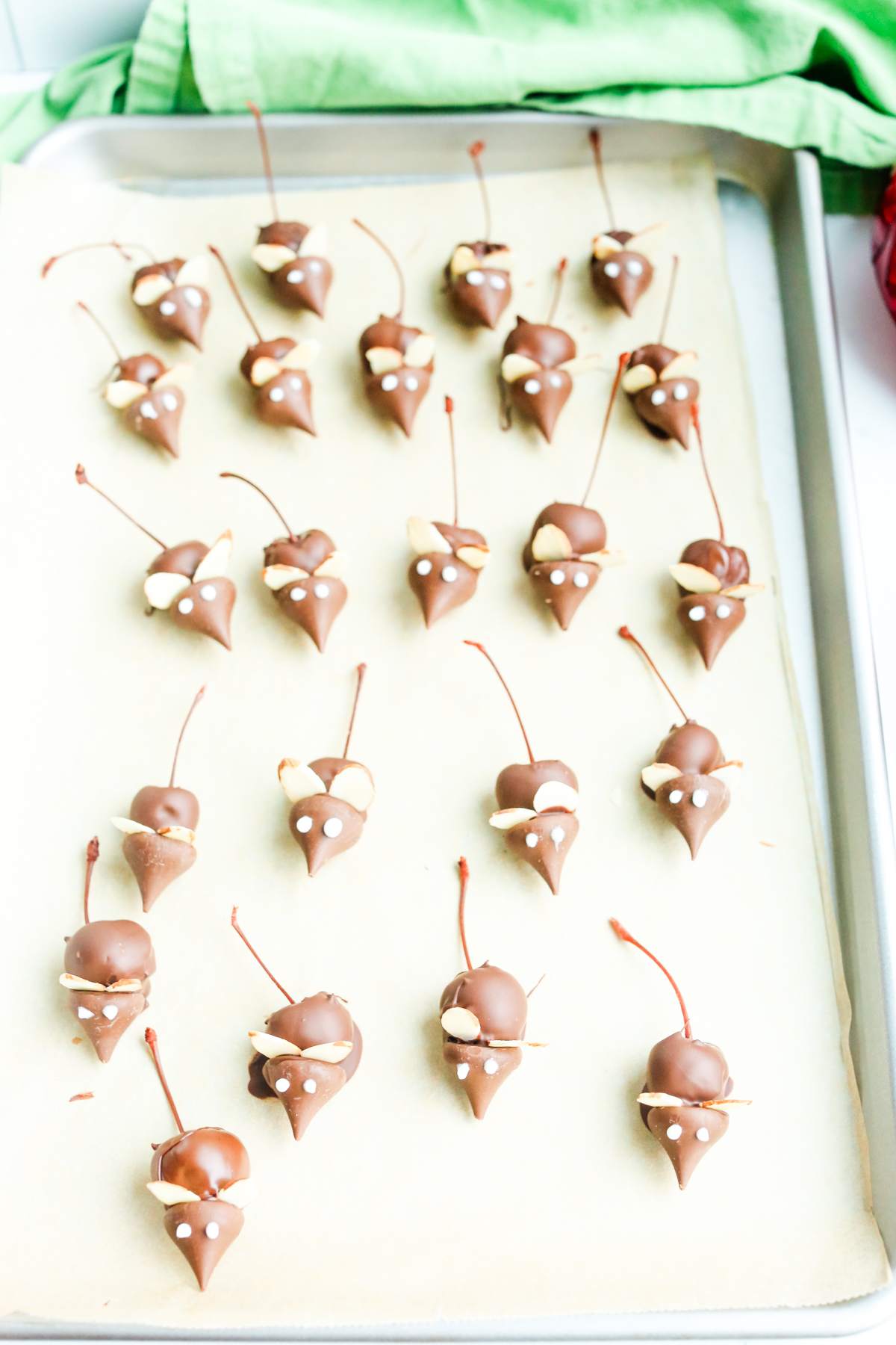 a tray full of chocolate treats