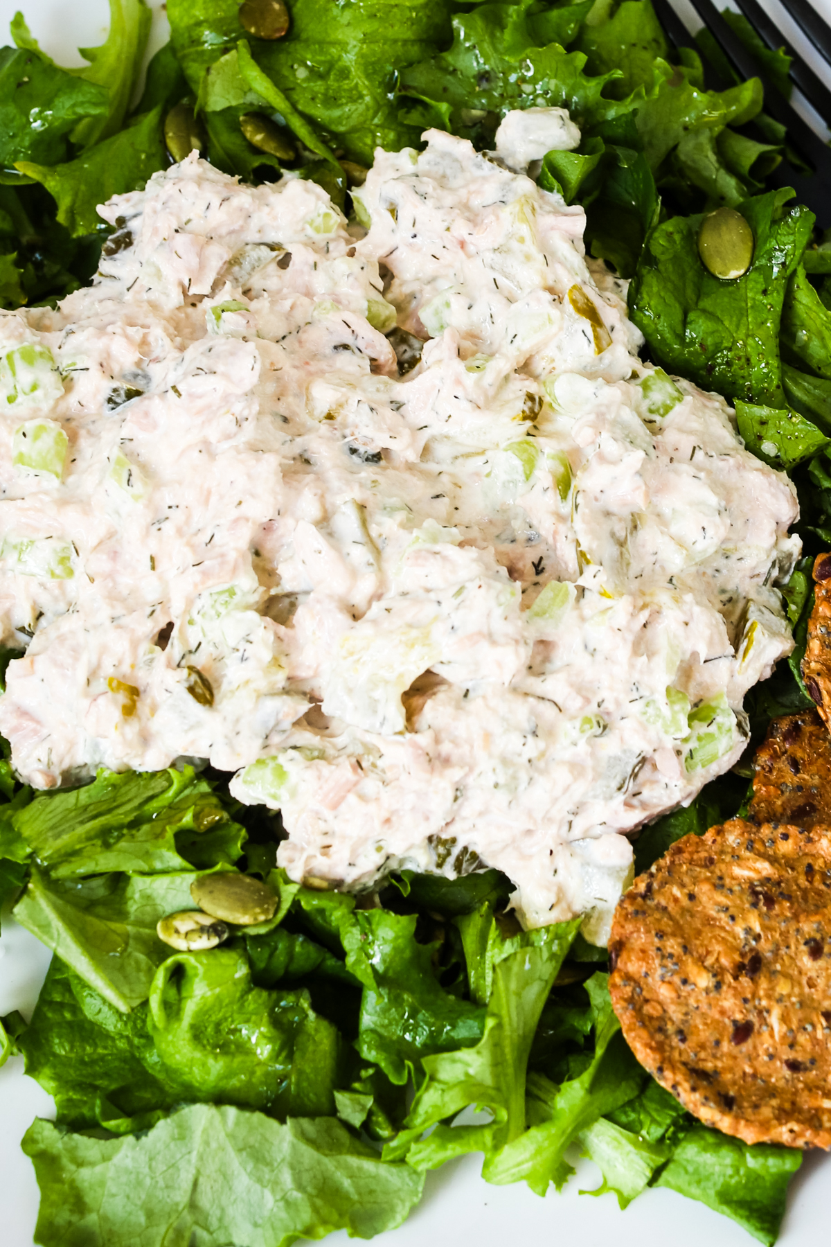 close up shot of dill pickle tuna salad