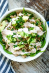 ground turkey taco bowl with avocado and a creamy Greek yogurt dressing on top